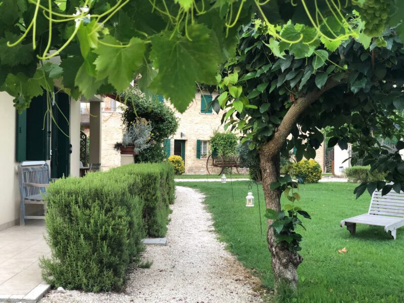 altrove immersi in campagna 4